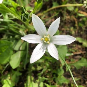 Meet your Posher, Gabriela